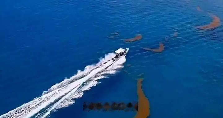 把3公斤的海水烧干才知道，在海上，为啥宁愿渴死也不能喝海水了