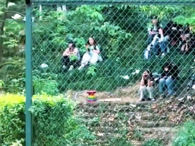 国乒新情报：5月7日，成都封训最后1天，央视直播国乒比赛表出炉
