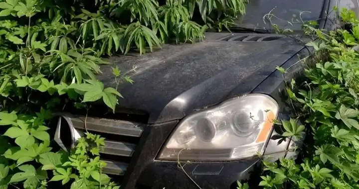 小区 “僵尸车” ，物业该如何妥善处理？