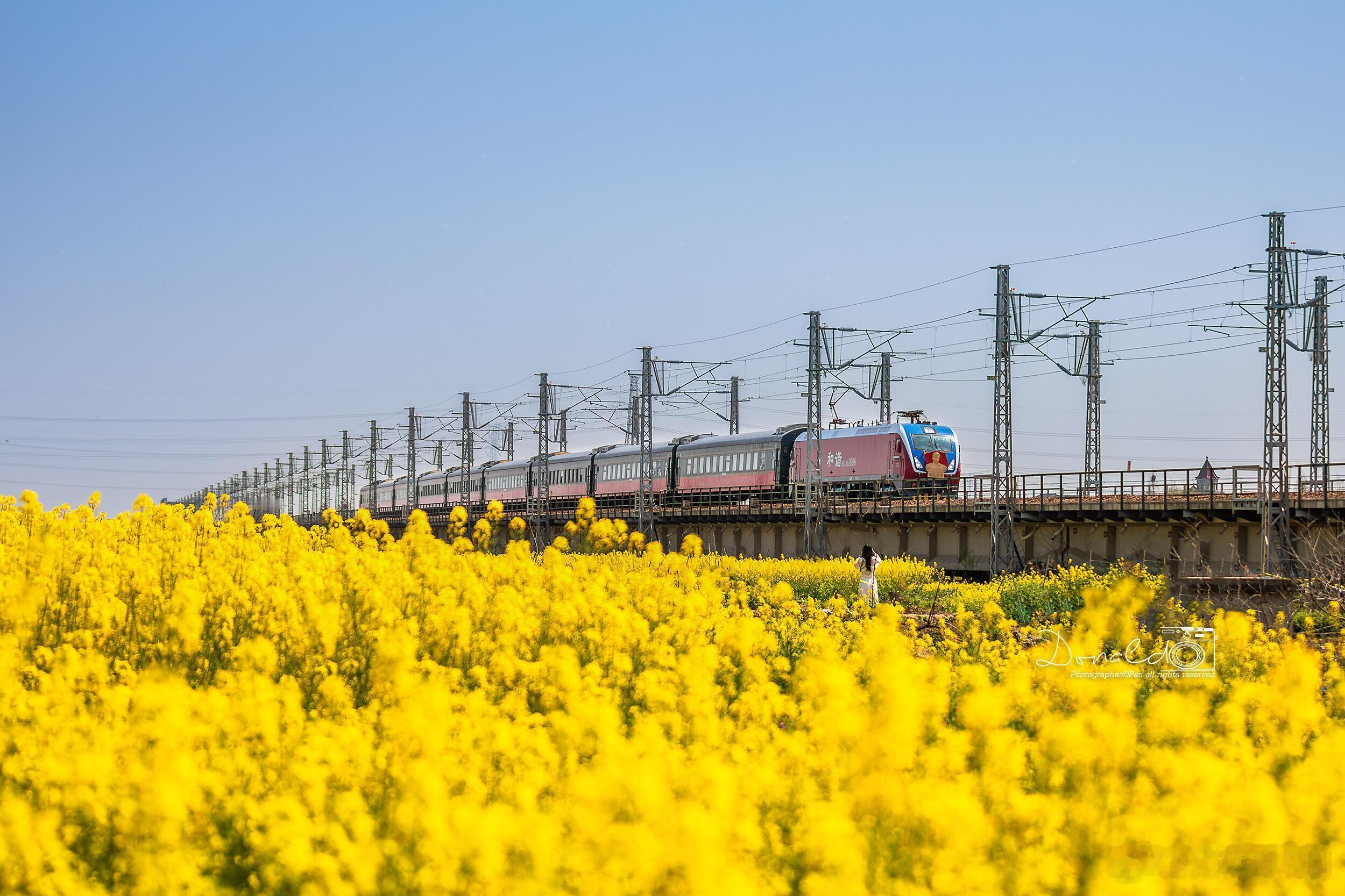 合肥出发，安徽皖赣铁路和浙江沪杭铁路上的春日列车🚂谁能拒绝春天的皖赣...