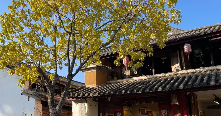 有院子的人，才是真正的生活家