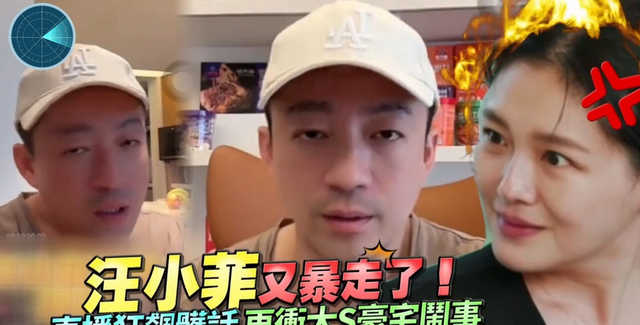 汪小菲大S对话，早现离婚端倪，作家陈岚解读！汪不接孩子有隐情