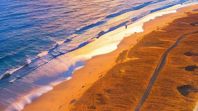 廪子：：山深藏虎豹，诚邀下联