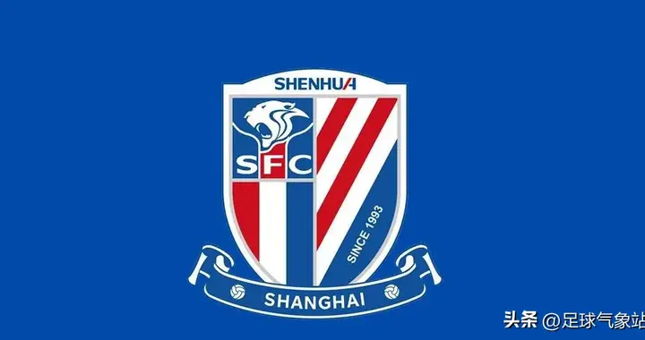 上海申花消息：盖伊留下治疗，米内罗、李可、吴曦随队出征