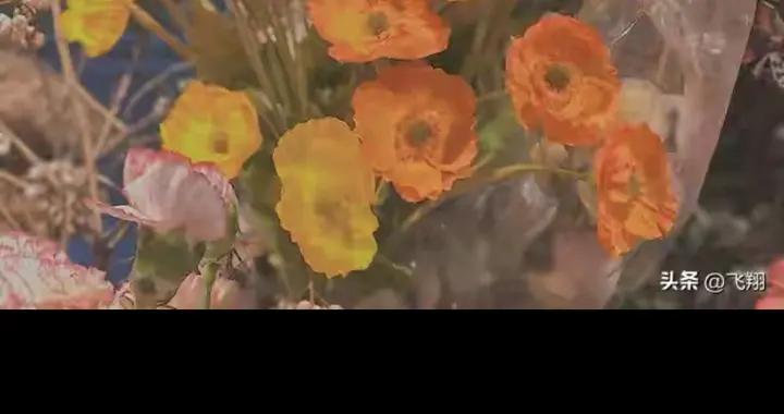 真正的幸福 不是轰轰烈烈的浪漫，而是不离不弃的坚守