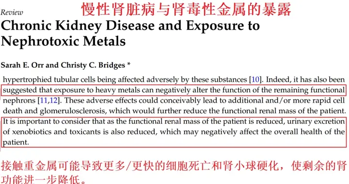4大肾毒性物质，一个不沾最好！