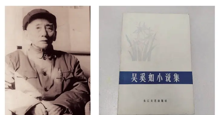 皖南事变亲历者吴奚如其人其事（童志强）