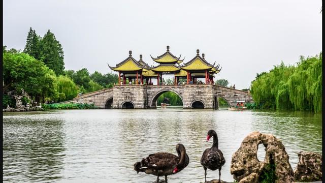 我的梦想是什么？我被小崽子问住了