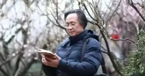「筆墨·丹青」——品读当代新水墨名家陈幼华梅石艺术