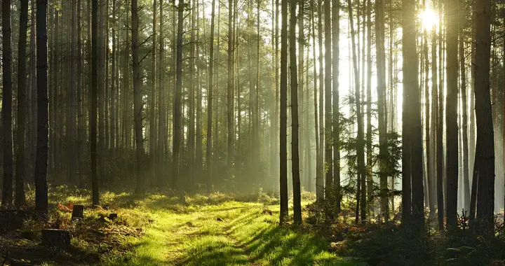 为什么90%的创新业务都失败了？