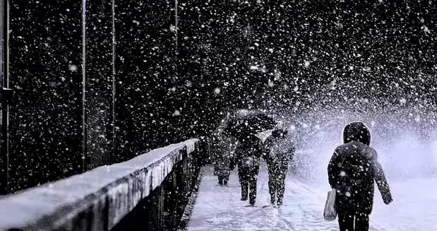 刘长卿｜好精致的悲，好小的大，小诗大写，小诗圣手