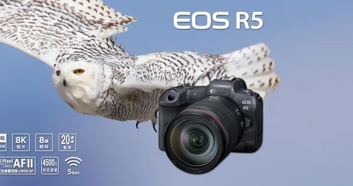 相机三国杀：佳能停产R5，尼康剑走偏锋，唯有索尼在“死磕”画质