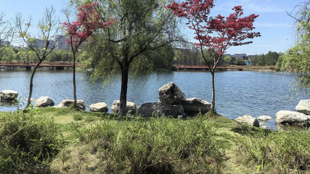 董臻臻：据央视驻德黑兰记者李健南前方发回