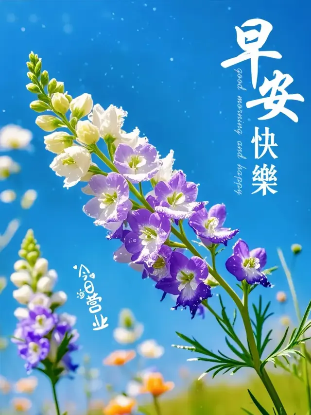 5月14日早安文案：晨光微露，美好如约而至，今天也要元气满满～