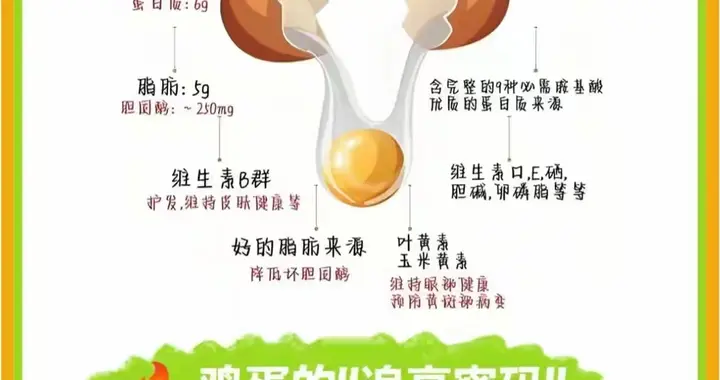 每天一个鸡蛋，老人防病、小孩长脑的秘密武器
