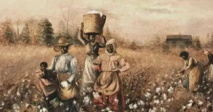 研究｜张燕军 刘玉珺：一朵棉花，如何塑造了印度民族主义？