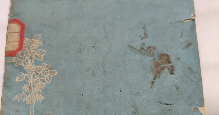 忘年承厚谊 三载寄哀思——深情怀念原遂平县人大副主任张慧勤