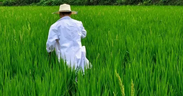乡村医生，为什么都留有，莫名的遗憾？