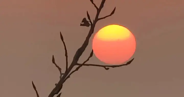 “寒灯X客梦，晓月X秋声”，中间填上哪两个字最有诗意？