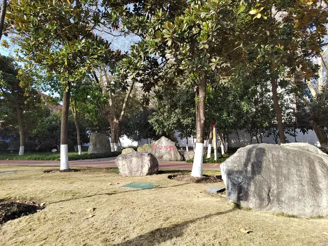 紫阳湖公园漫步