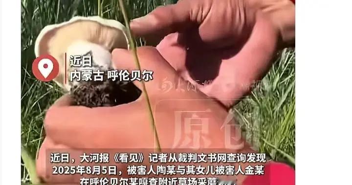 母女采蘑菇被抢劫，价值143.2元，男子获刑3年，引发网友争议！