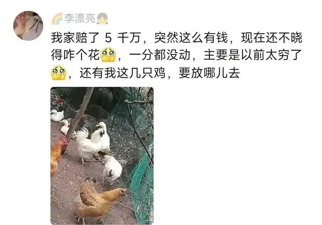 国家主导，委以重任，郑州前途不可限量！