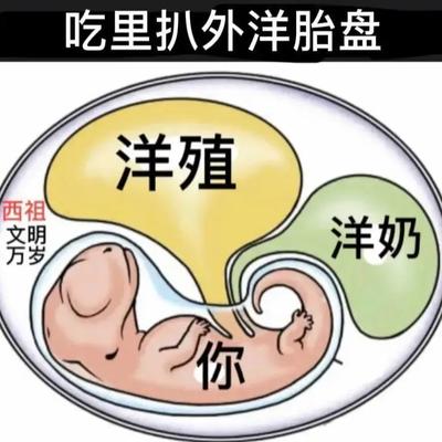顶明光：网上对大殖子的描述真形象啊