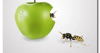 拒绝做职场“耗材”：张雪的“逆袭”这才是顶级的享福型人格