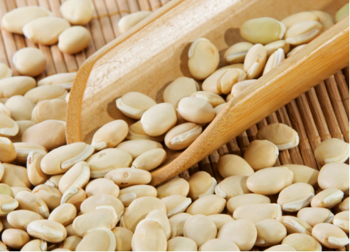 倪海厦：它是行气“第一豆”，熬粥吃胜过逍遥丸！通全身气机