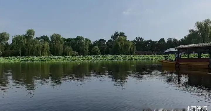 刚扭亏就被立案，朗进科技股价大跌，这类股民可索赔