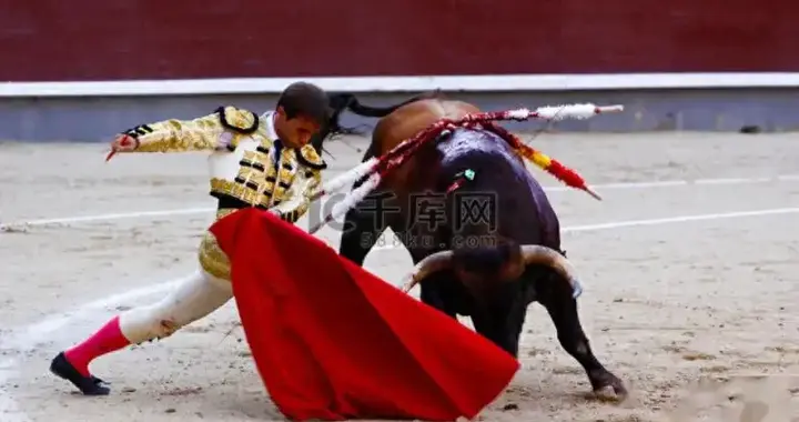 激怒公牛反被伤，斗牛游戏终现失控一幕。