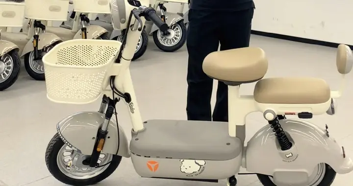 新国标电动自行车集体亮相，配置丰富安全性高，金属外壳价格很贵