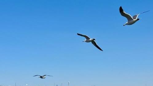 90谈生活：世上最坑人的五样东西！ 一