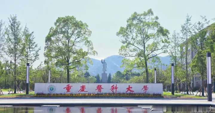 重庆医科大学2025年本科批B段录取分数