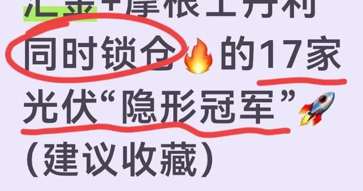 汇金+摩根士丹利同时锁仓的17家光伏“隐形冠军”（建议收藏）