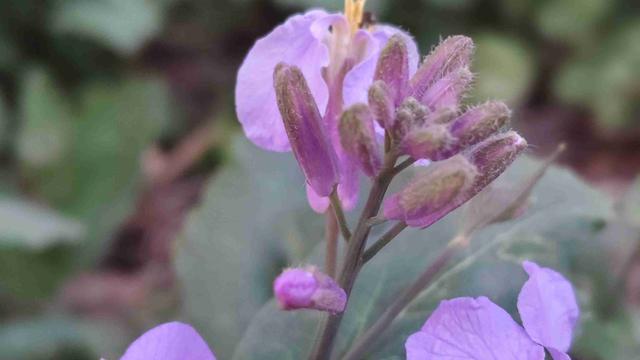 爱旅行的京京：我的