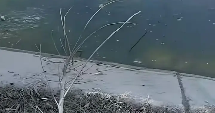 危难时刻的温暖：平凡英雄的生命奇迹