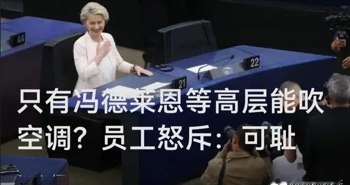 只有冯德莱恩等高层能吹空调？员工怒斥：可耻