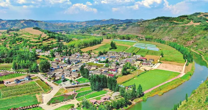 《田野里的新商机：小作物撬动大产业》