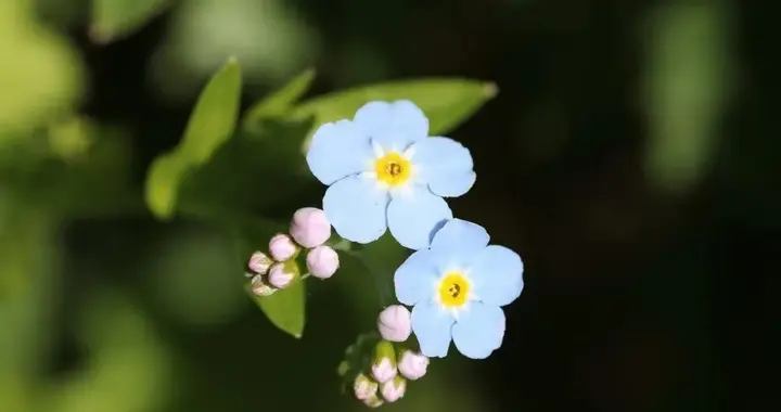“拿下”中年女人的心，不是送花，也不是说情话，而是如此做