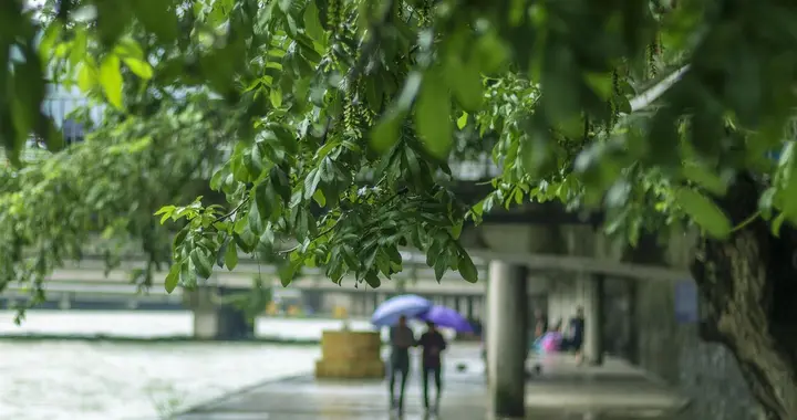 老话“端午一日雨，寡妇要发愁”，是啥意思，端午下雨有啥预兆？