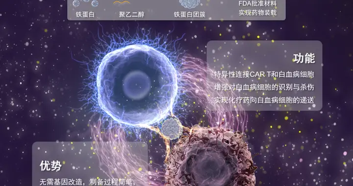 “双面胶”疗法为高效对抗白血病提供新思路 | 科技前线