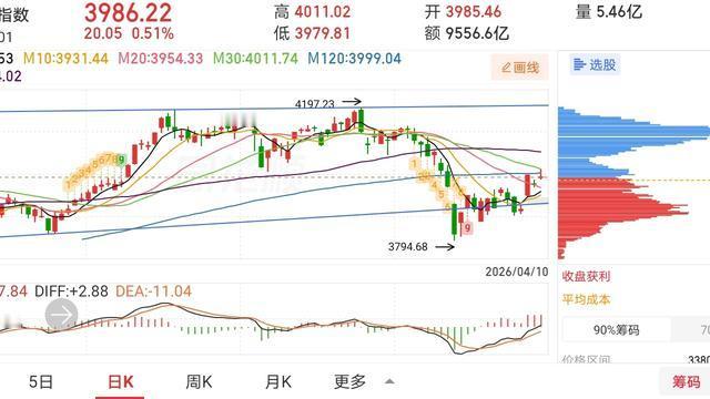 慧眼识珠：网友神评论，看的我笑出了声！