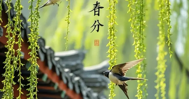 春分后养生：顺时调衡，养阳护脾正当时