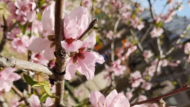 尽心就好188：昨天在医院治疗的时候，到