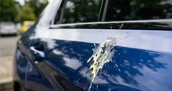 为什么鸟粪会“溶解”汽车漆面？如果车上发现鸟粪，应该怎么办？