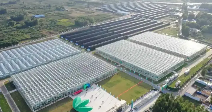 国家为什么要大力发展温室大棚种植？