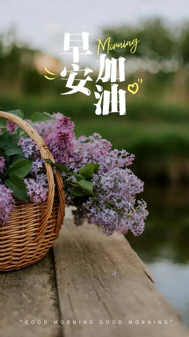 三月流焱，旧物不扔，乱心绪