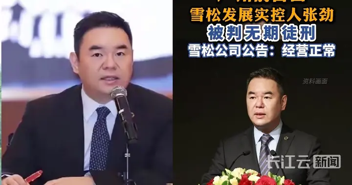 广州首富判了无期，6800个家庭还在等：钱到底去哪了