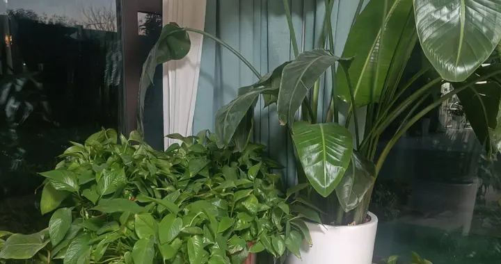 《生存》——王老板（08）